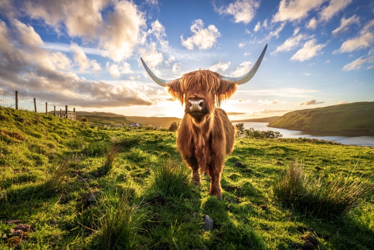 Schottland 2025