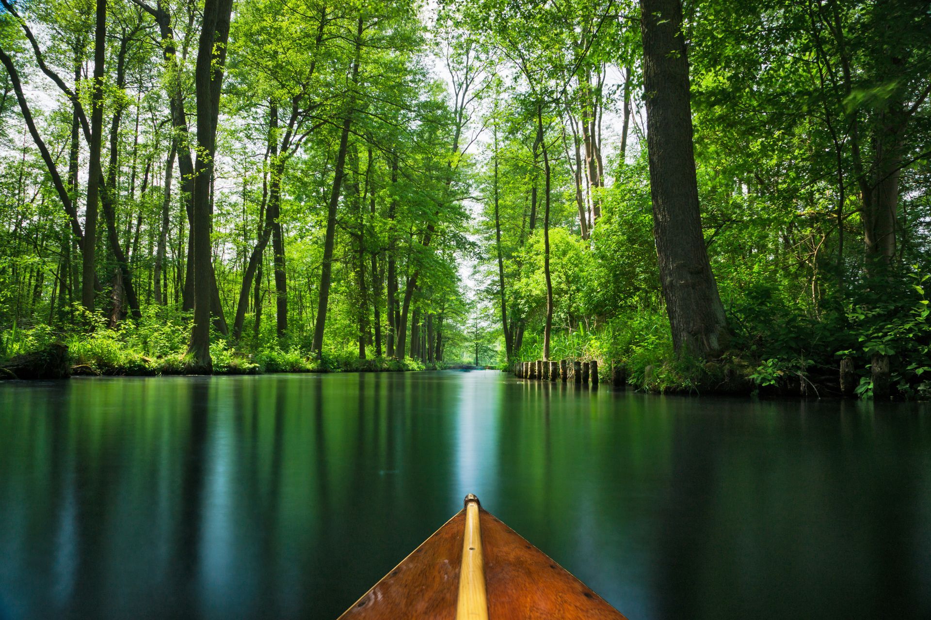 Flow line through the recreation area Spree forest - Spree Wald near Berlin in summer. Boat trip through the flow lines Spree forest
