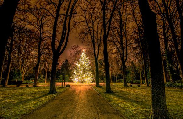 Weihnachtsbaum in Pforzheim