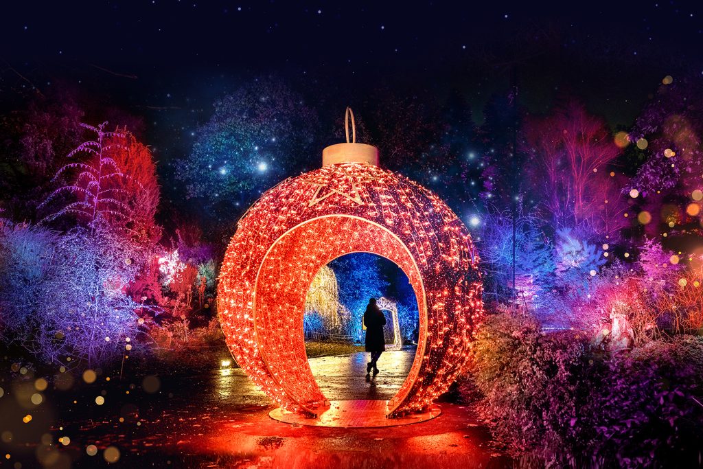 christmas-garden-insel-mainau-2025-artwork
