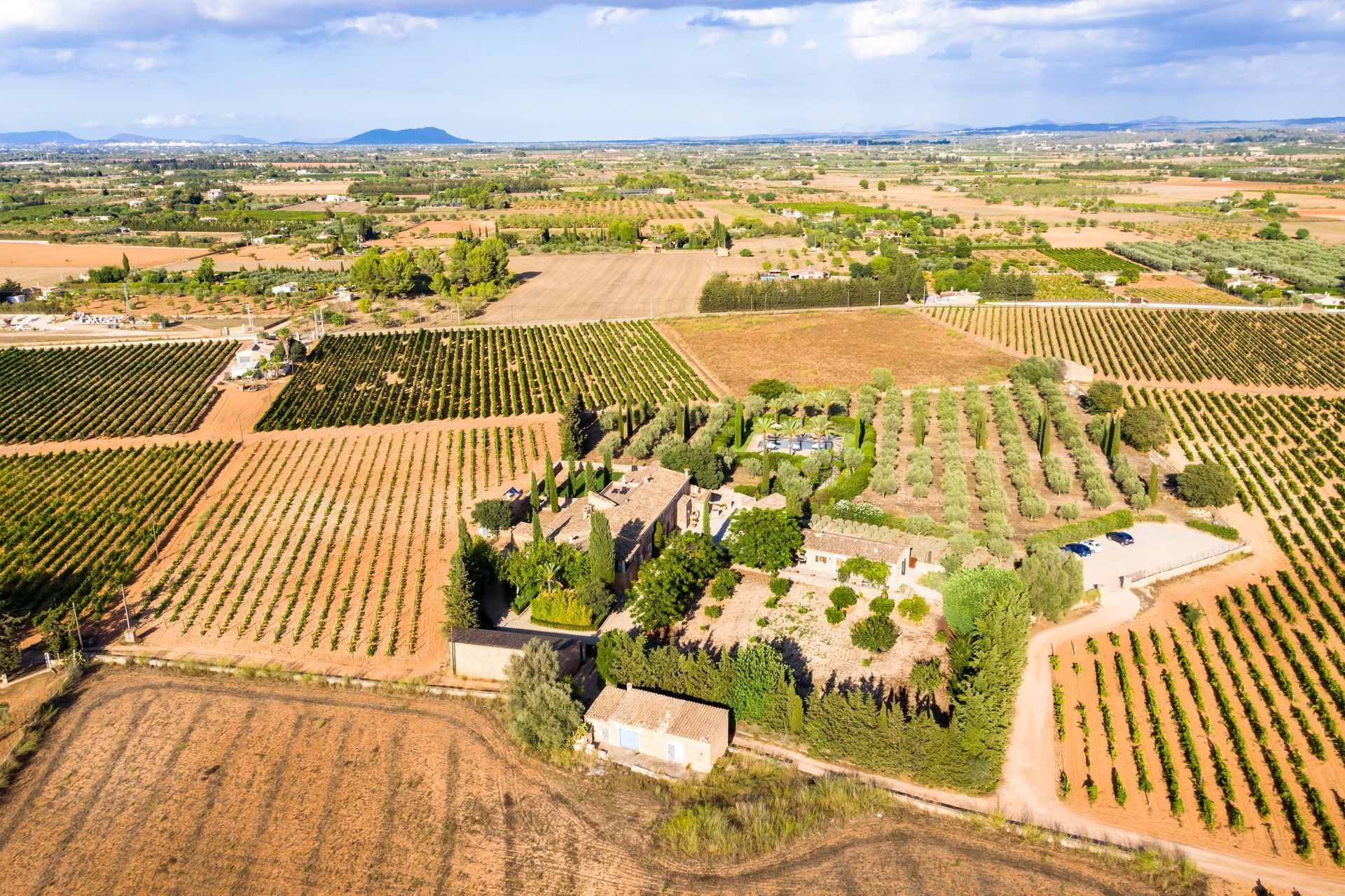 Aerial view, agriculture with olives and fields around santa Eugenia and Santa Maria, center of the island, Mallorca, Balearic Islands, Spain