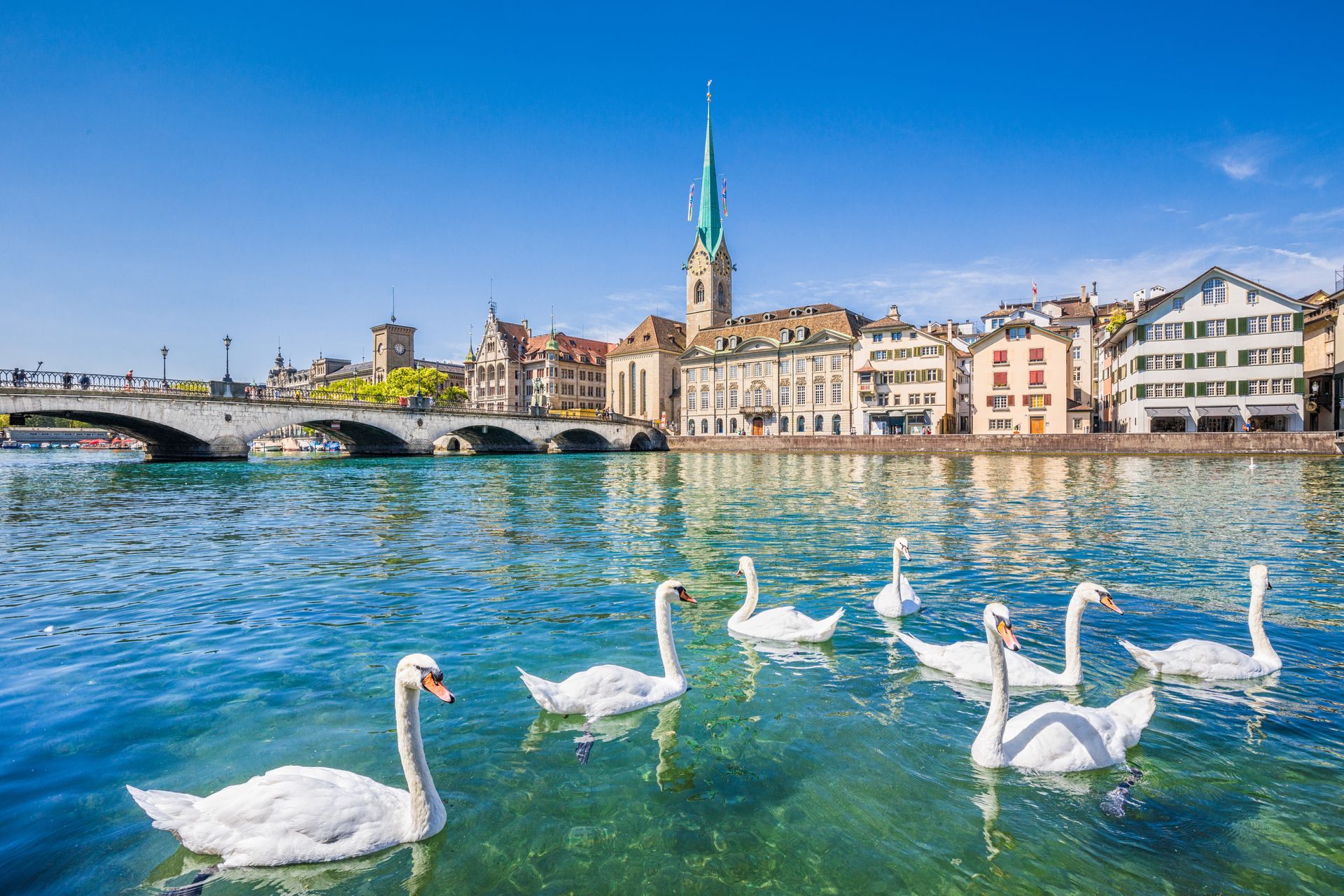 Zürich city center with swans on Limmat river, Switzerland