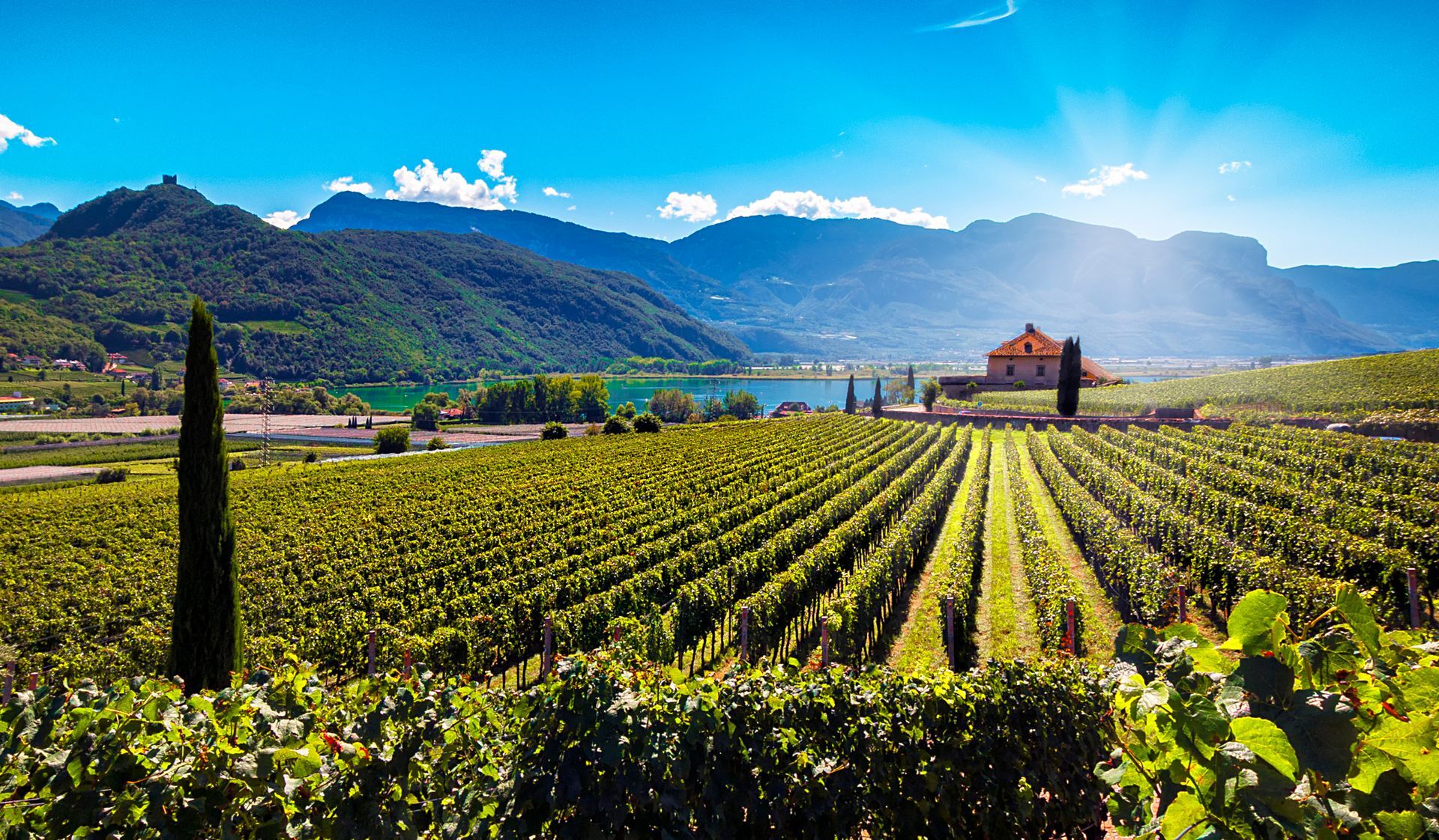 panoramic view of the caldaro lake in south tyrol italy.