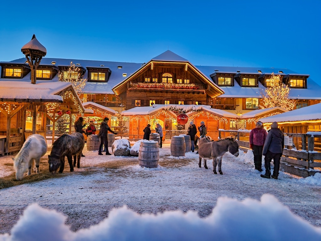 20221212-164530-1-1024x768