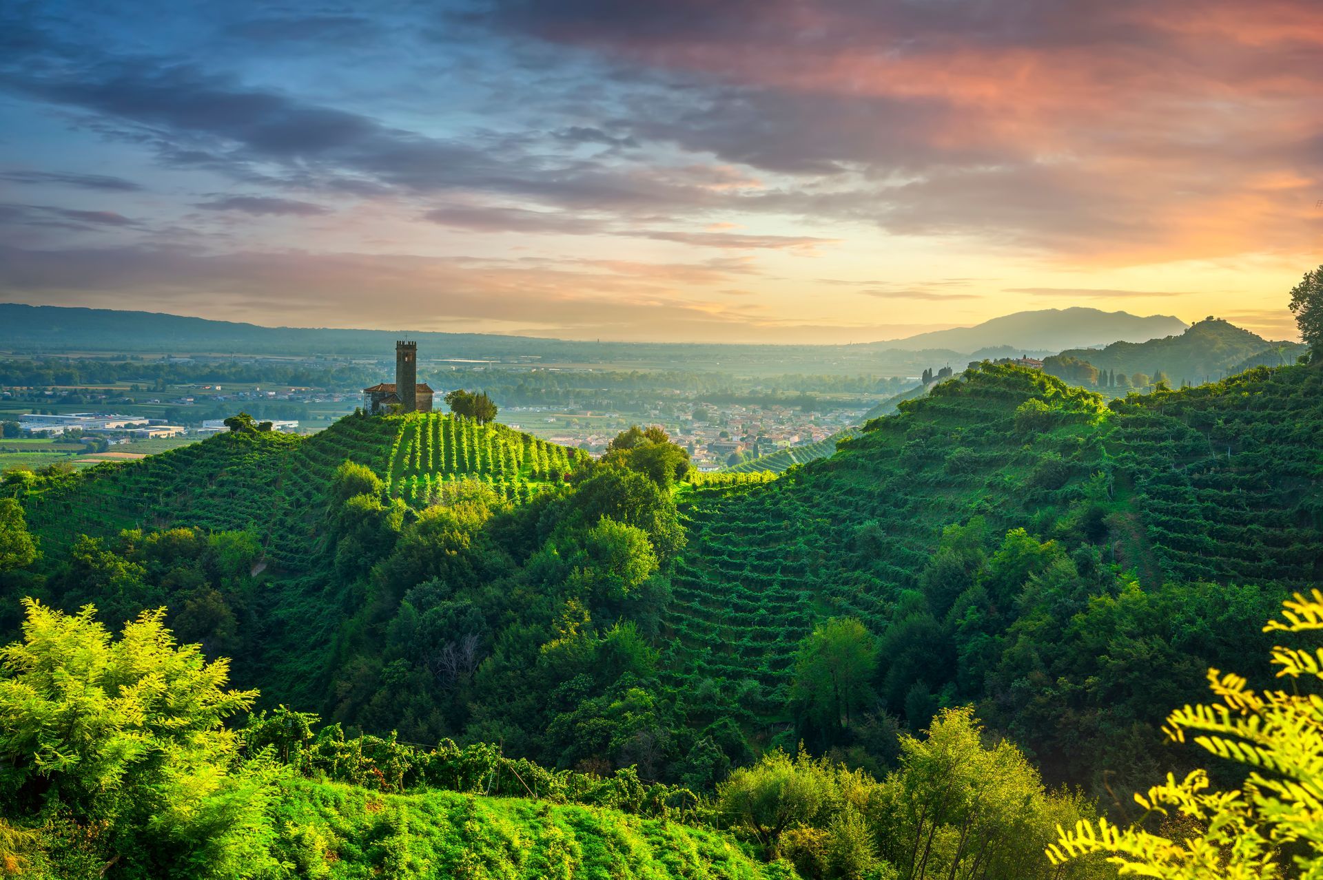 Prosecco Hills, vineyards and San Lorenzo church. Unesco Site. Veneto, Italy