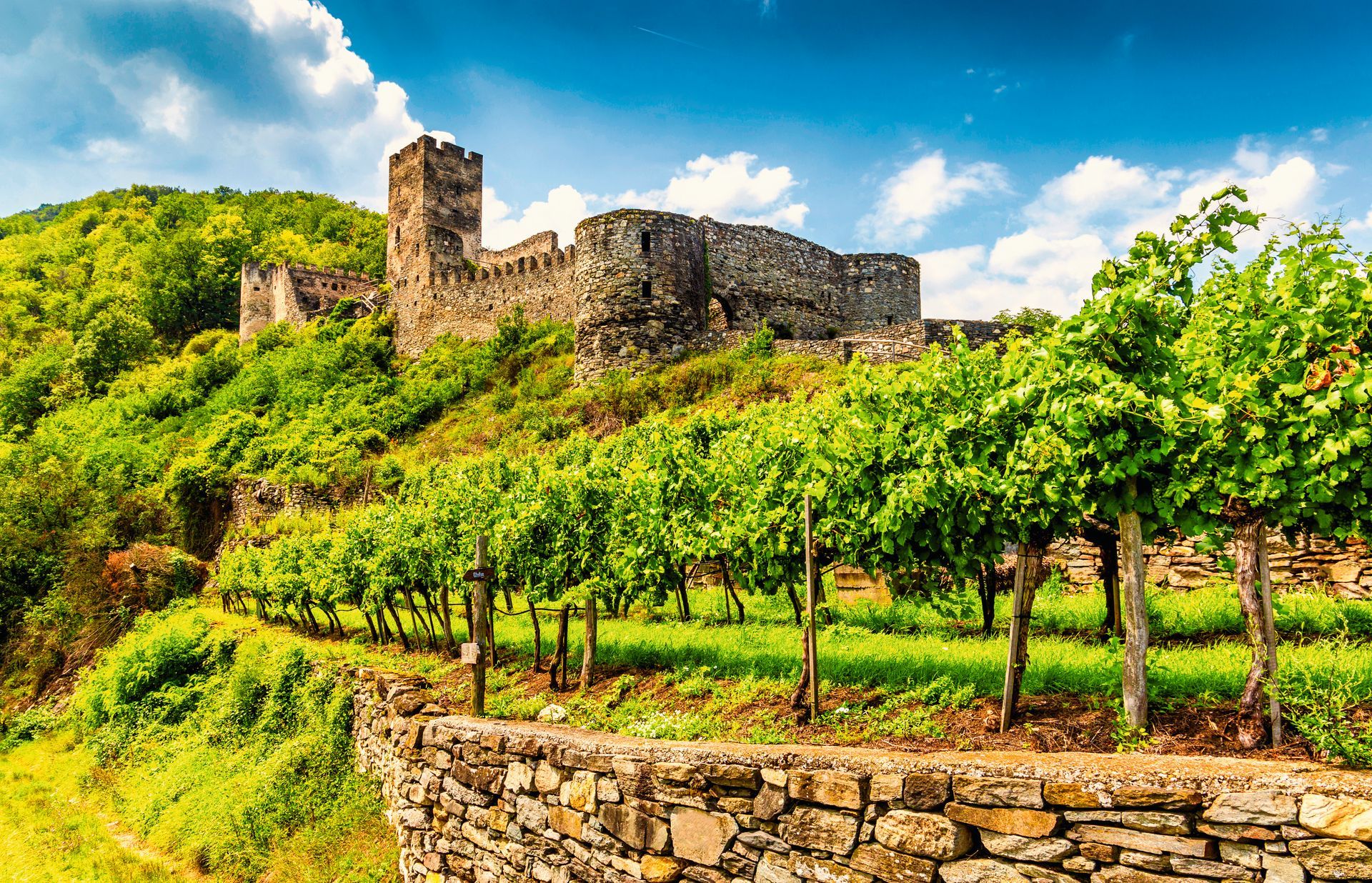 Ruins of Hinterhaus castle. Spitz, Wachau valley. Austria.