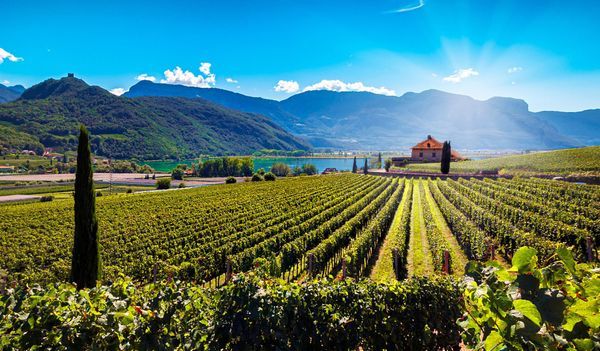 panoramic view of the caldaro lake in south tyrol italy.