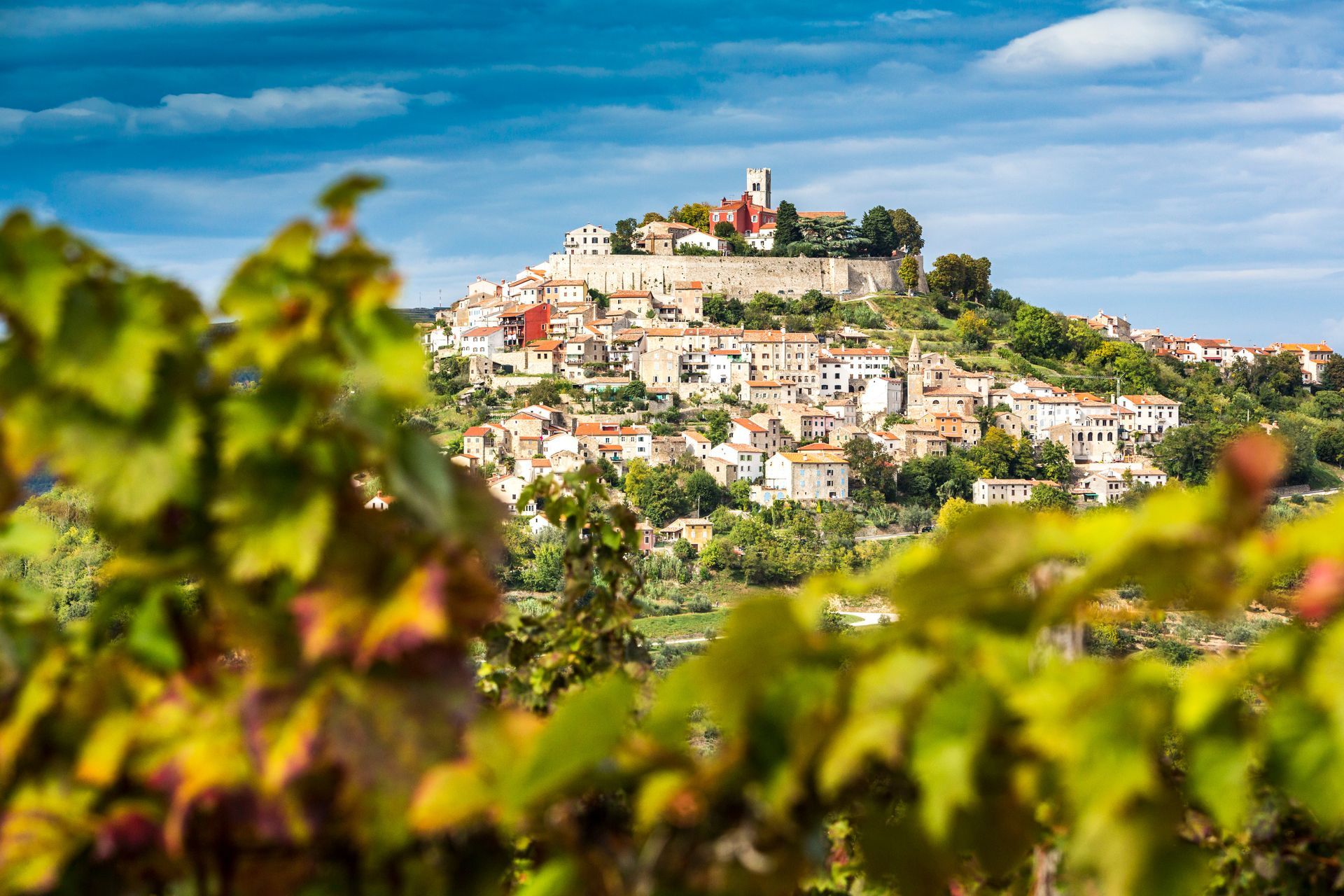 Kroatien, Istrien, Blick durch die Weinberge nach Motovun
