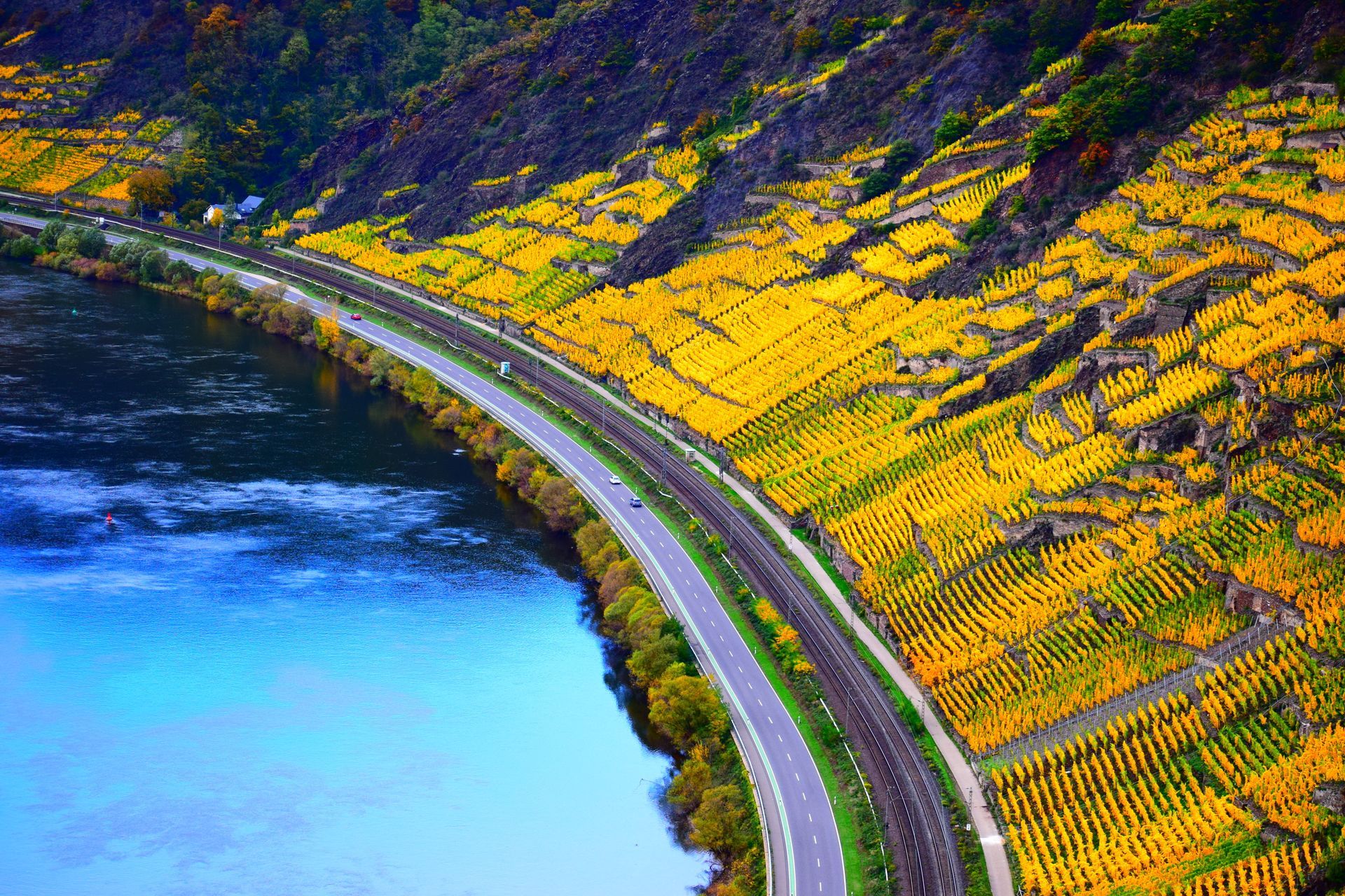 herbstlich gefärbtes Unteres Moseltal im Bereich Winninger Brücke und Dieblich